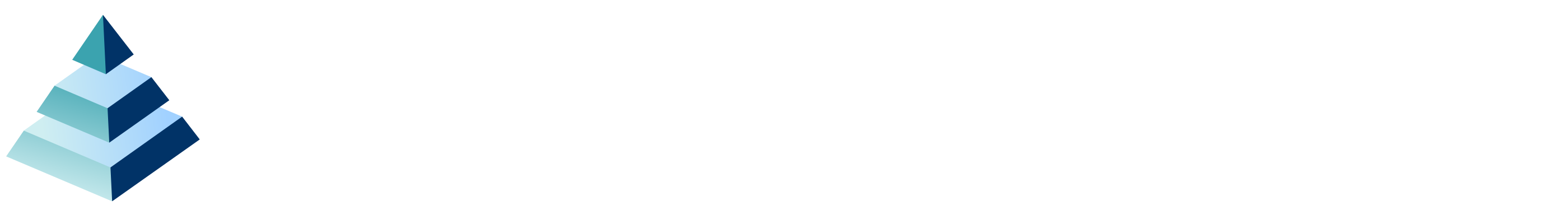 Birkeland Consulting